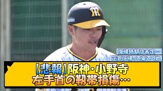 【悲報】阪神・小野寺 左手首の靱帯損傷…【なんJ/2ch/5ch/ネット 反応 まとめ/阪神タイガース/岡田監督】