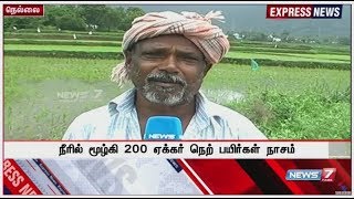 நெல்லையில் கனமழை காரணமாக நீரில் மூழ்கி 200 ஏக்கர் நெற் பயிர்கள் நாசம் : விவசாயிகள் கவலை