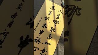 Calligraphy  人生哪能多如意，萬事只求半稱心 生活就是如此