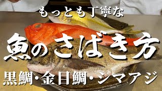 【もっとも丁寧】和食料理人が教える黒鯛・金目鯛・シマアジのさばき方 #魚のさばき方