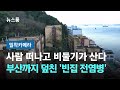 [밀착카메라] 사람 떠나고 비둘기가 산다…부산까지 덮친 '빈집 전염병' / JTBC 뉴스룸