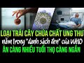 1 loại trái cây chứa chất gây ung thư nằm trong 