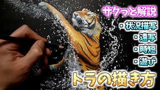 【解説】色鉛筆画トラと水しぶきの描き方　Explaining how to draw a tiger with colored pencils