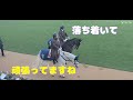 誘導馬になったアサマノイタズラ