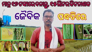 ଜୈବିକ ପଦ୍ଧତିରେ କିଟନାଶକ ପ୍ରସ୍ତୁତି। How to make organic Pesticide, Insecticide,Fungicide  all plants|