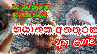 භයානක අනතුරක් ලඟදීම ,අනාවැකිය පළ දරයි