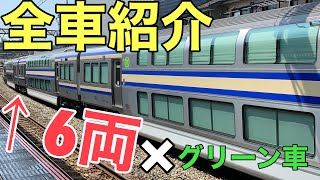 【全車紹介】横須賀線.総武快速線E235系1000番台グリーン車6両【甲種輸送】9670レ（F-03編成,F-04編成,F-05編成）