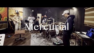 실리카겔 - Mercurial 밴드 커버