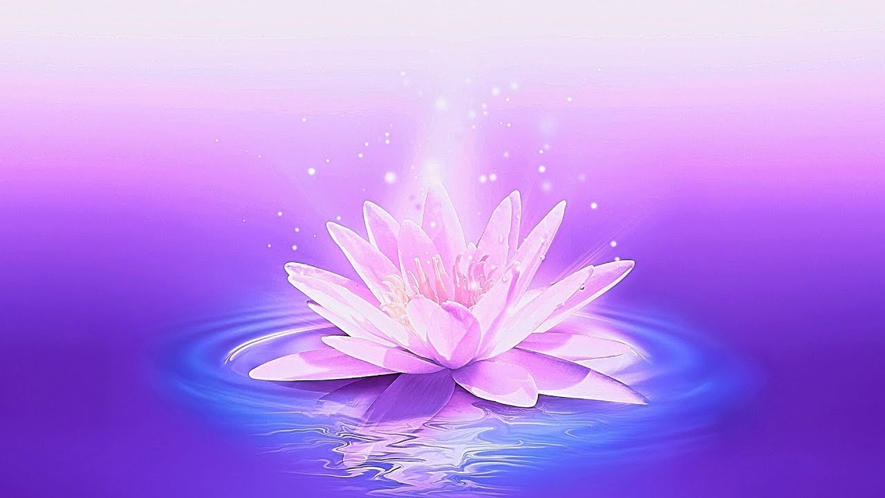 Columbus Virtual Relaxation Relaxing Music