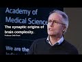 The Developing Brain | Professor Seth Grant FMedSci FRSE