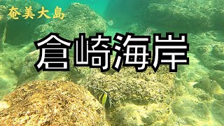 【奄美大島の倉崎海岸】でシュノーケリング || Snorkeling in Amami Oshima, Japan