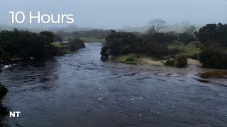 Rainy Day Stream Sounds for Sleep & Relaxation | Falling Rain & Flowing Water Sounds: White Noise