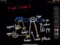 part 1 topic what is rrs conformation chapter 5...