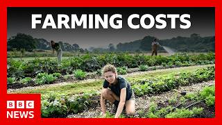 Farmers face soaring costs from Iran war | BBC News