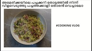 അമേരിക്കയിലെ പച്ചക്കറി തോട്ടത്തിൽ നിന്ന് വിളവെടുത്തു പച്ചത്തക്കാളി തോരൻ വെച്ചാലോ#Pachathakkalithoran