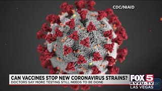 New strain of COVID-19 still affected by new vaccines, scientists say