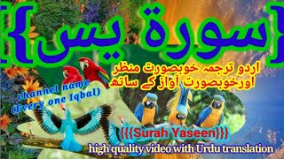 Surah Yaseen Urdu translation/ Surat yaseen/Al Quran/talwat Quran Pak/QuranQureem/Quran mujid/