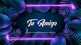 TU AMIGO REMIX (MASHUP ZUN DADA) | Mora, Zion | Leo Delgaudio DJ