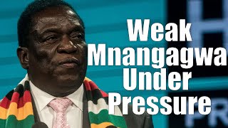 WATCH LIVE: Under Pressure Mnangagwa Uses Chivhayo As A Front | Chimombe’s Lawyers Expose Mnangagwa