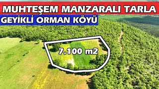 1113-SATILDI  Gönen Geyikli Köyünde 7.100 m2 Herkesin Hayalindeki Tarla Papatya Tarlası