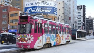 札幌市電　250形 254　路面電車 中央区役所前電停