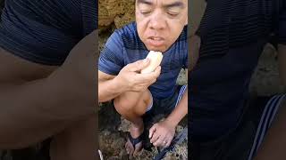 #swaki #saang #seashell #seagood #alcaraztv #mukbang