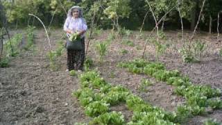 AMASYA GEDİKSARAY RESİMLERİ