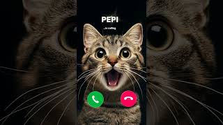 My Cat Calling