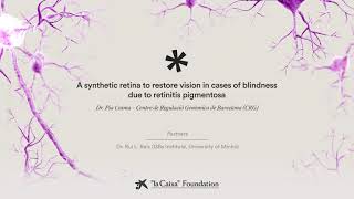 Synthetic retina to cure retinitis pigmentosa blindness. P. Cosma | CaixaResearch Health Call 2024