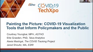 Painting the Picture: COVID-19 Visualization Tools that Inform Policymakers and the Public