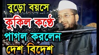 বড়ো বয়সে কুকিল কণ্ঠে পাগল করলেন দেশ বিদেশ।মাওলানা নাজমুল হাসান ছিদ্দিকী। বি আই সি মিডিয়া