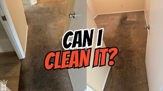 Steam Carpet Cleaning for EXTREMELY SOILED carpet ||  carpet cleaning POV