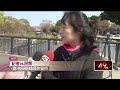 40張排排站！ 葫蘆墩公園跨橋上驚見「拉筋板陣」