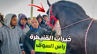 🚨سوق الخميسات اليوم منور بالحباب كاين المليح ناس بغات خيل الوراق ✅