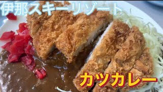 伊那市【伊那スキーリゾート】に行ってみた#japanesefood #孤独のグルメ #カツカレー