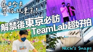 TeamLab最大規模 沈浸花朵與光影藝術 豐洲市場覓食 港邊Lalaport浪漫景色｜東京VLOG｜日常