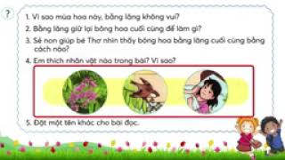 Tiếng việt lớp 3 chân trời sáng tạo bài 1 tuần 14  Chú sẻ và bông hoa bằng lăng online video cutter