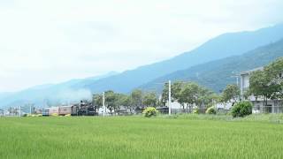 CT273駕駛訓練8003次@關山德高段