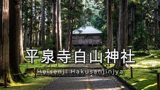 【苔宮】【苔寺】平泉寺白山神社の紅葉　｜福井県｜勝山市｜