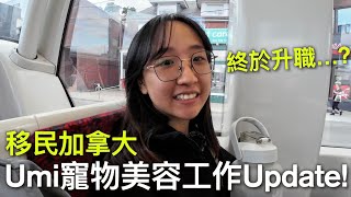 加拿大寵物美容…? 做Dog Bather多久才升職?【移民加拿大】