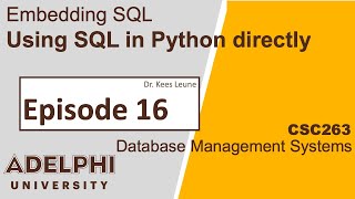 Embedding SQL in Python application