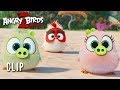 THE ANGRY BIRDS MOVIE 2 Clip - Hatchling Eggs