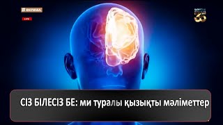 СІЗ БІЛЕСІЗ БЕ: ми туралы қызықты мәліметтер