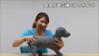 愛犬の心をつかもう！撫でられるのが好きなところの探し方 2 by遠藤エマ トレーナー