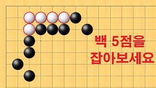 바둑 묘수 사활 - 백 5점을 잡는 신기한 수는 어디일까요?