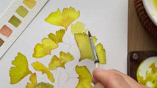 How to Paint Watercolor Ginkgo Leaf