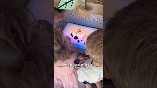 Using a light table with kids to explore insect and bug specimens