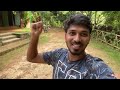 a beautiful budget stay in wayanad adri chembra solo travellers kumarlogesh vlogs ep 05