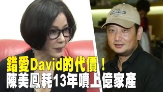 錯愛David的代價！陳美鳳耗13年噴上億家產  --蘋果日報20160304