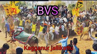 BVS  bulls mass performance in kagganur jallikattu.. 2021 February